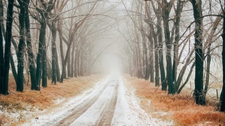 дорога зима