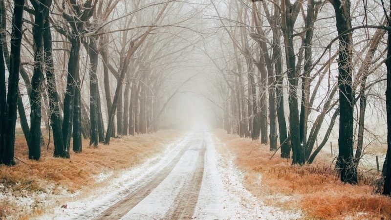 дорога зима