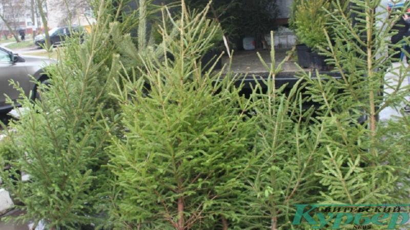 Елочный базар