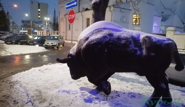 Зубр на улице Шубина