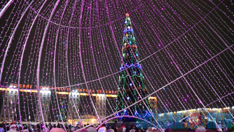 ёлка витебск