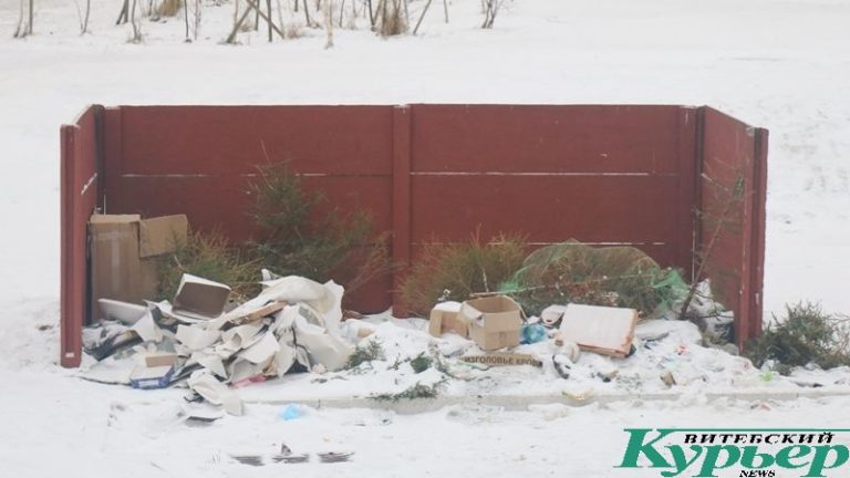 Выброшенные елки в микрорайоне Билево-3