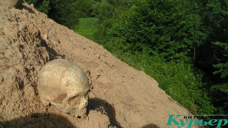 Кости, найденные в 2014 году в деревне Селюты Витебского района
