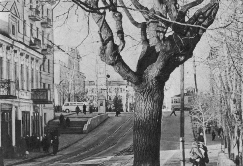 "Яма" в 1965 году