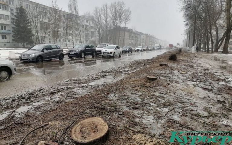 Пеньки вдоль улицы Гагарина