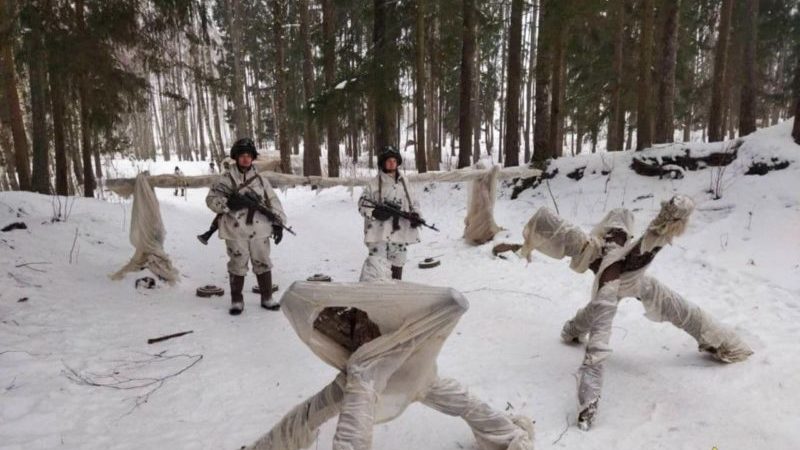 лосвидо вдв