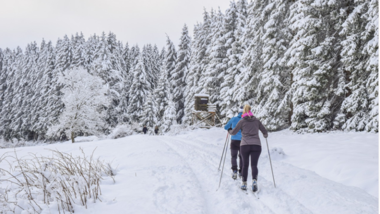 Лыжники в лесу, лыжи, зима