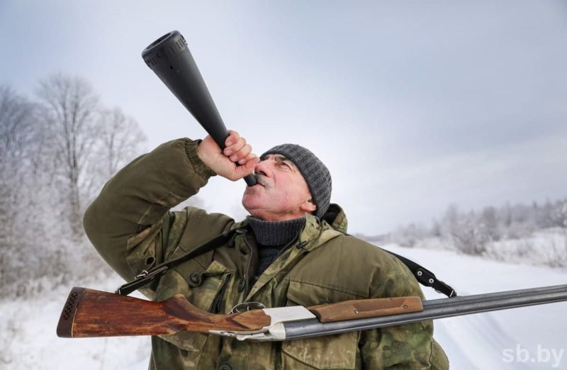 волки2