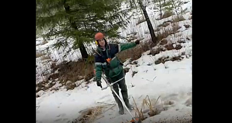 зимой с триммером