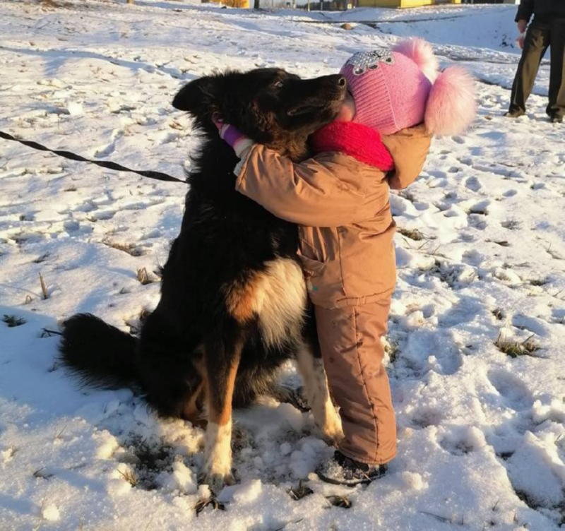 Девочка любит собаку