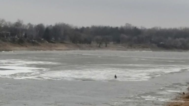 Человек н льдине