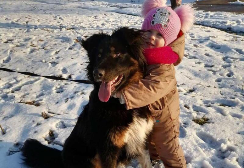 Девочка и собачка - друзья