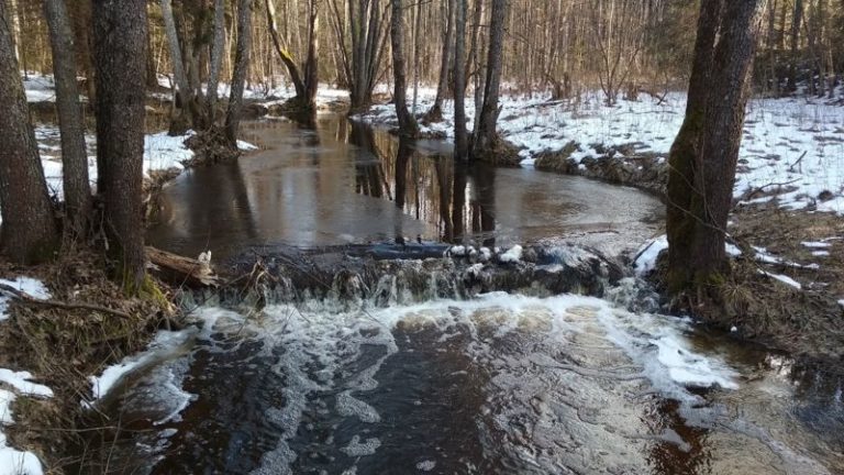 весна, половодье