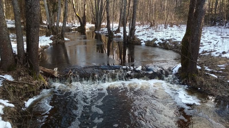 весна, половодье