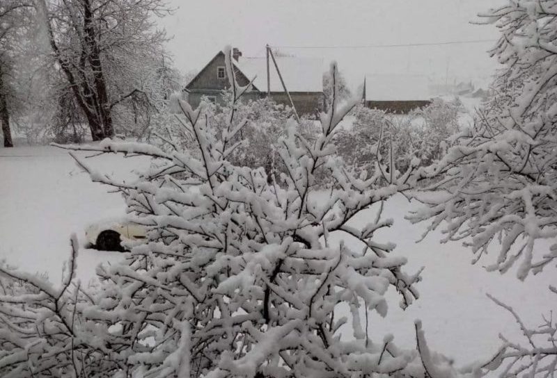 Благовещение 1