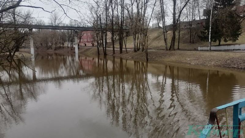 Весенний разлив Витьбы