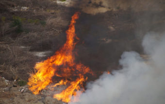 горит мусор6