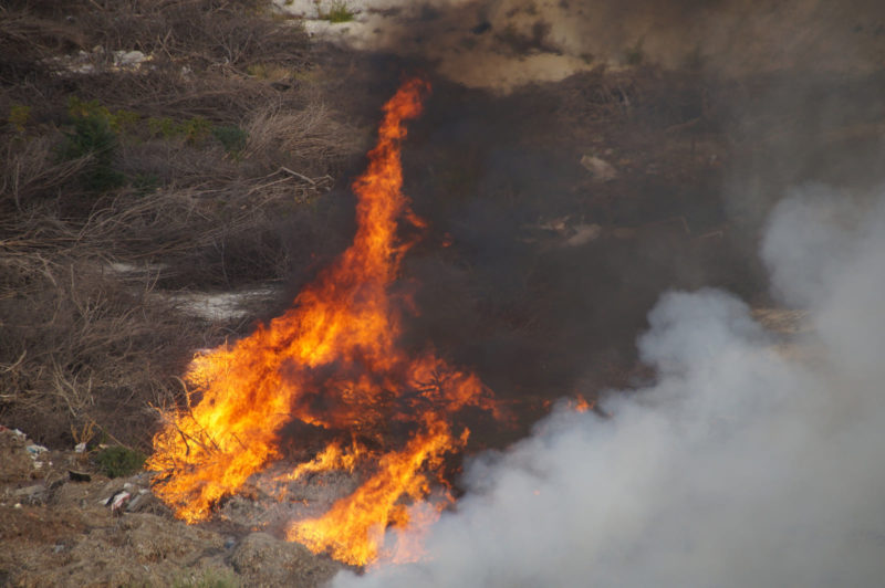 горит мусор6