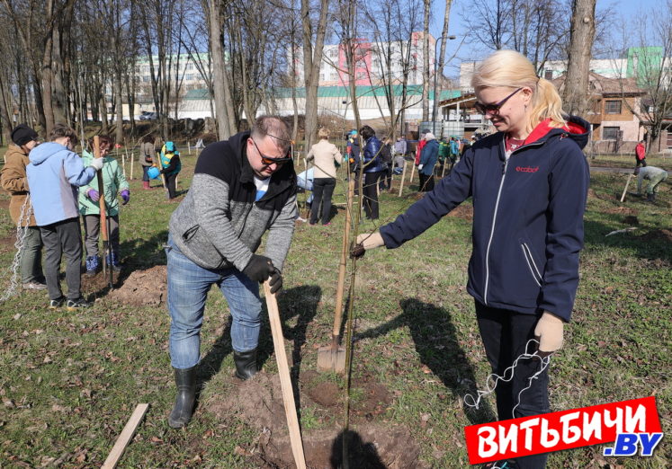 субботник на Витьбе