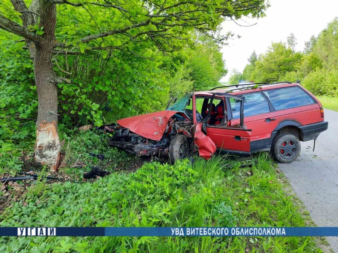 ДТП Ветрино