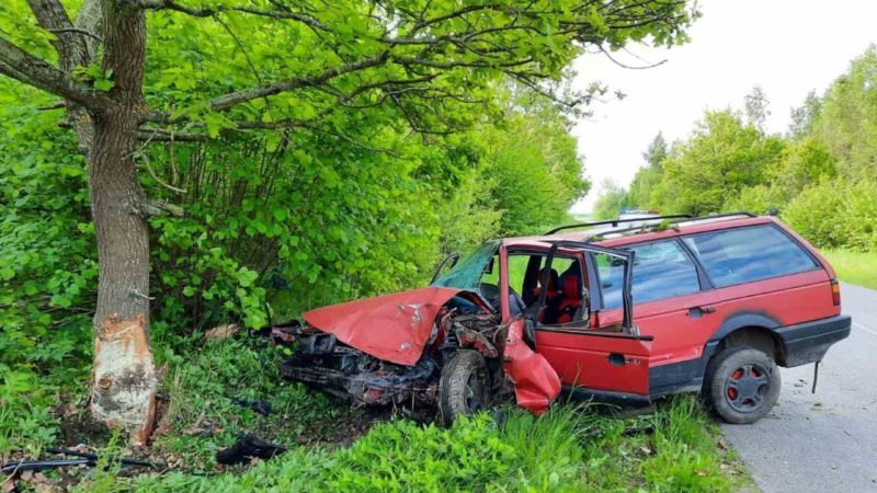 ДТП Ветрино