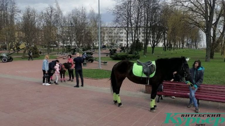 Катание на лошадях на площади Победы