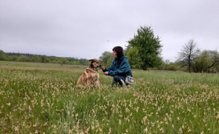 Собака с хозяйкой на прогулке