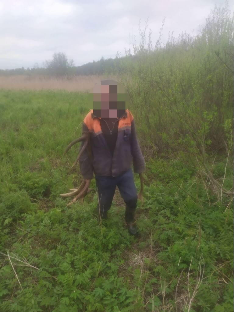 пенсионер