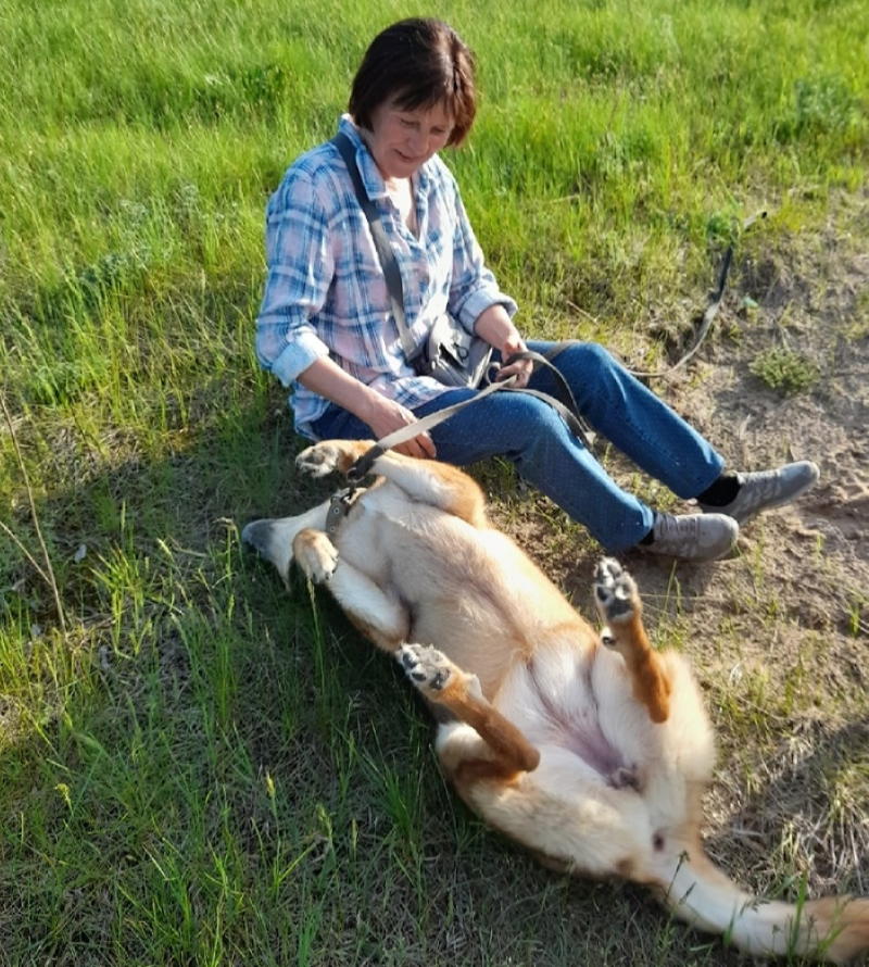 С питомцем во время прогулки 