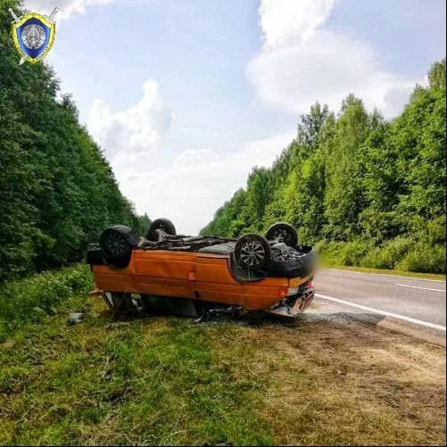 ДТП с лосем