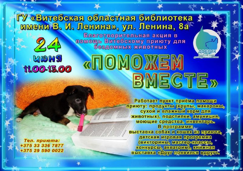 Акция в пользу приюта 