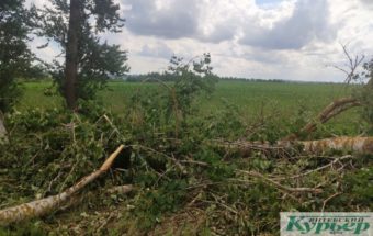 Неподалеку от аэродрома