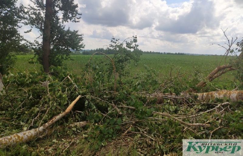 Неподалеку от аэродрома