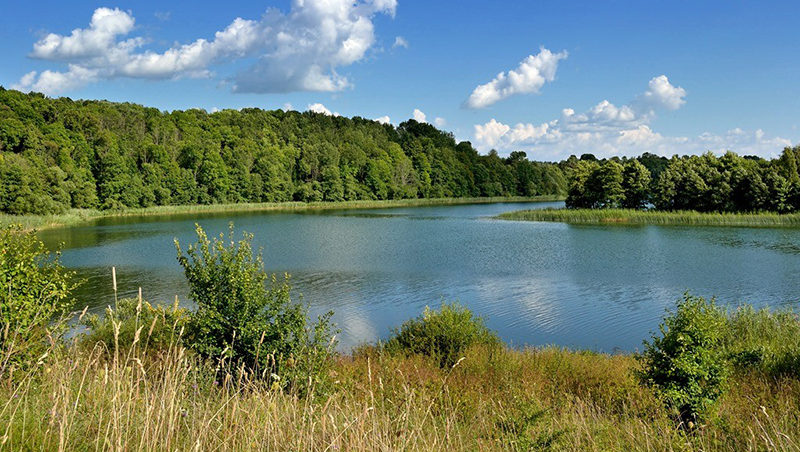озеро в Браславском районе