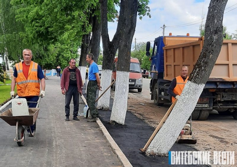 В Лиозно зааасфальтировали липы