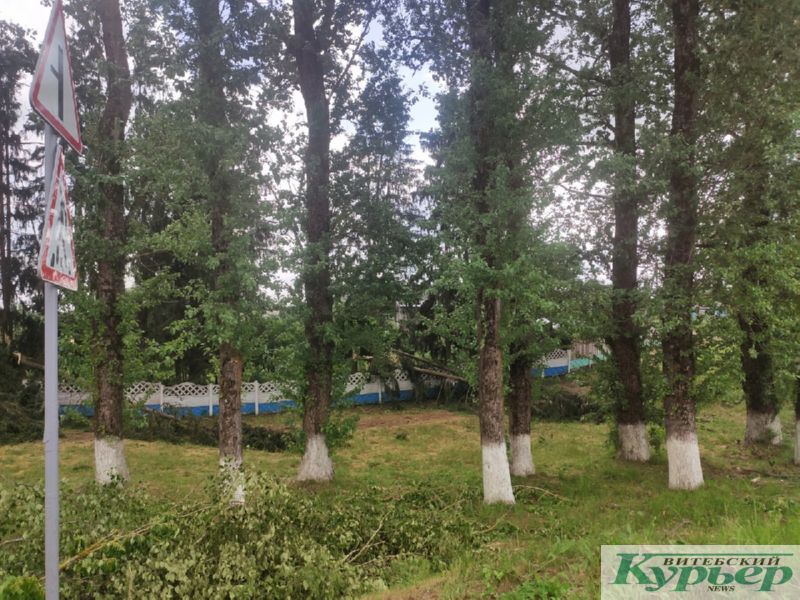 Стихия в Витебском районе