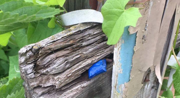 Закладка наркотиков