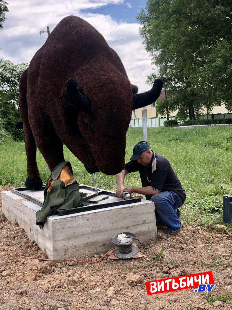 зубр топиар