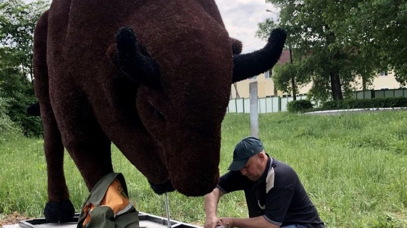 зубр топиар