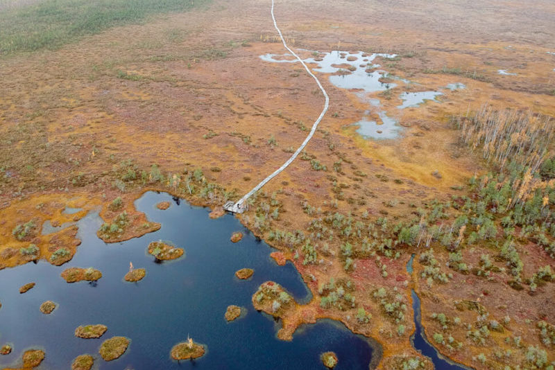болото Ельня