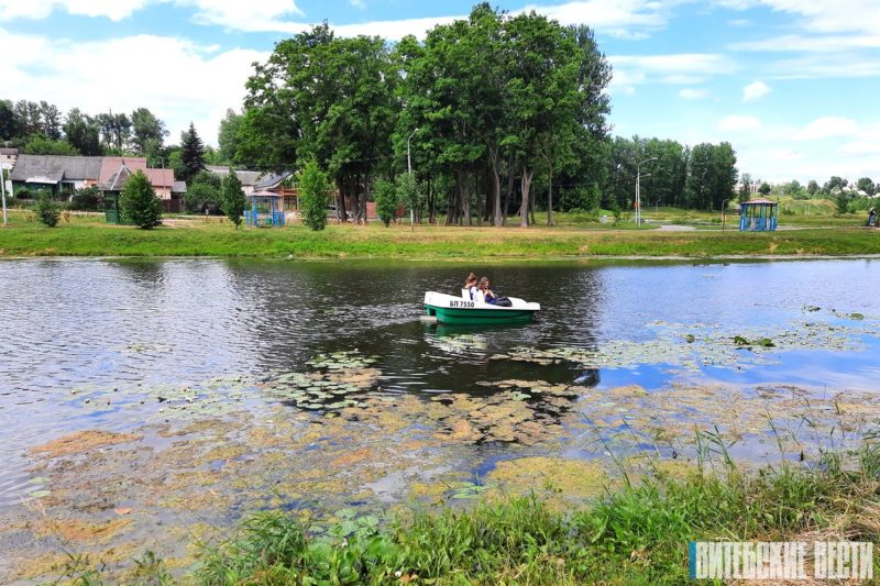 лилиии на Витьбе