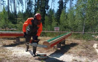 Соревнования по валке леса