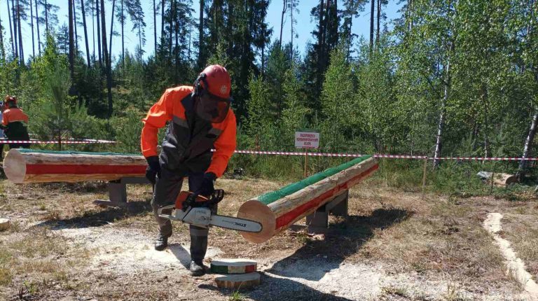 Соревнования по валке леса