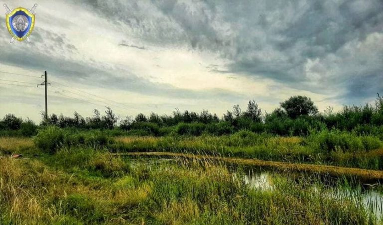 следственный комитет