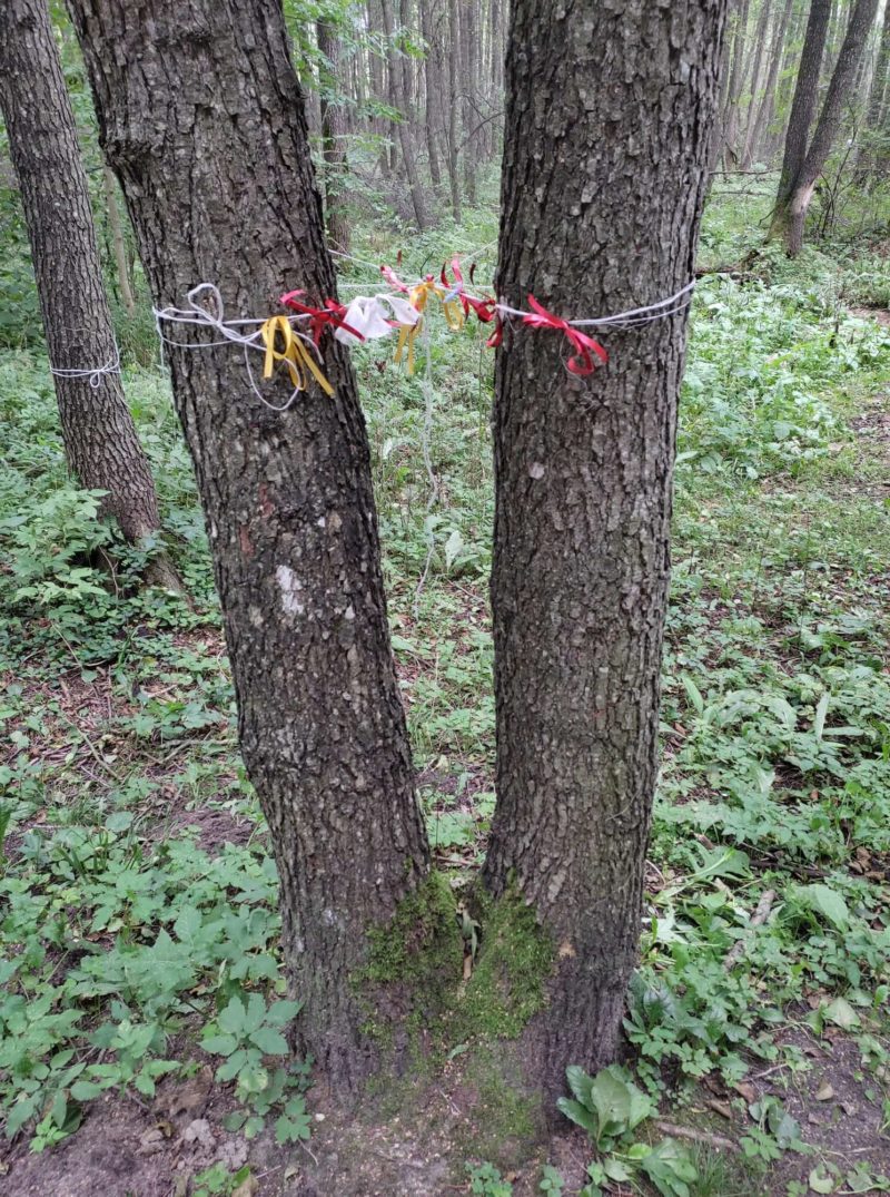 крыница4