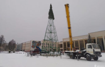 елка новополоцк