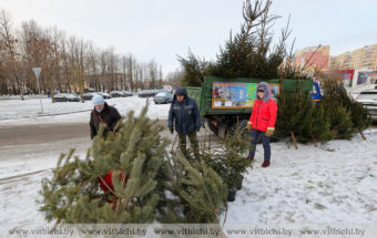 елочный базар