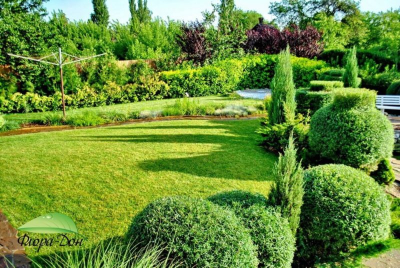 озеленение