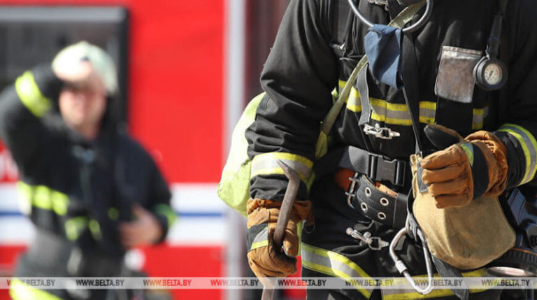 отряд витязь