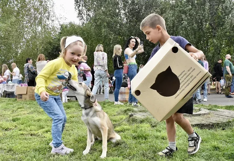 добрик